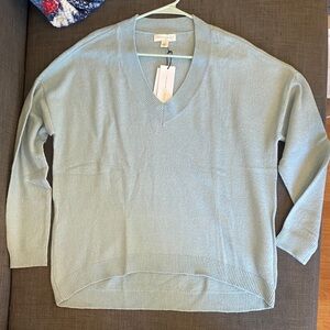 NWT Treasure & Bond Blue Basalt V-Neck Sweater